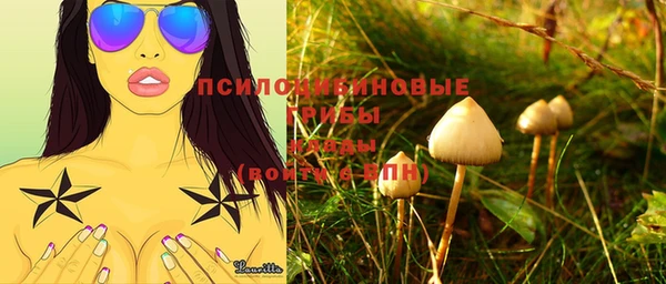 соль ск Горняк