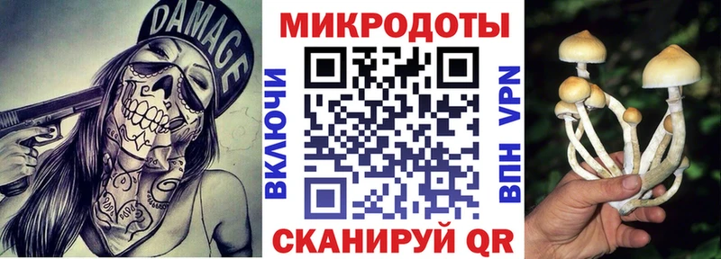 Псилоцибиновые грибы Magic Shrooms  omg рабочий сайт  Данилов 